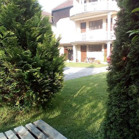 Guest House Aleksandra Bajina Basta Zewnętrze zdjęcie