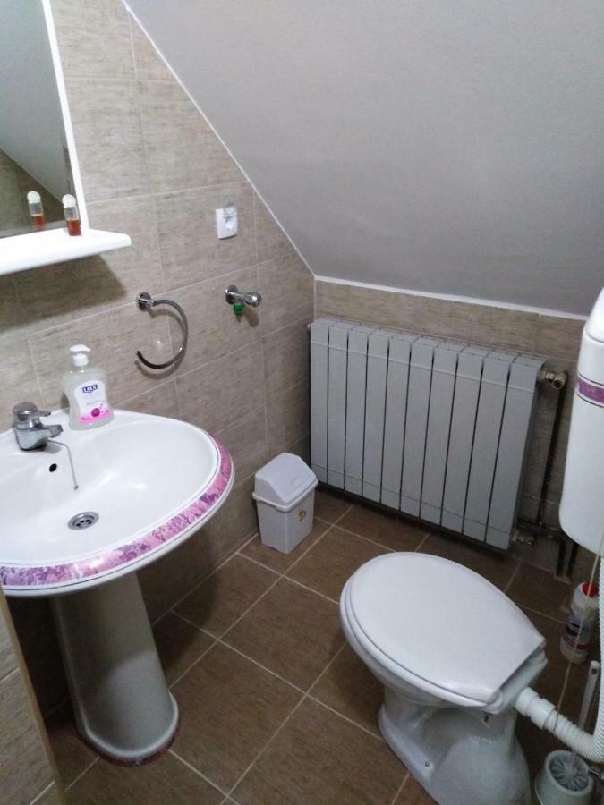 Guest House Aleksandra Bajina Basta Zewnętrze zdjęcie